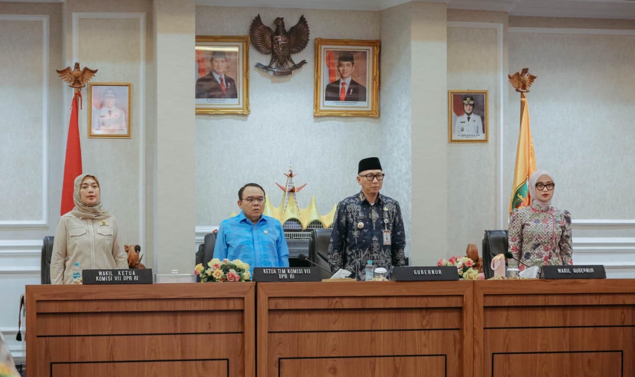 Gubernur Mirza Terima Kunjungan Komisi VII DPR RI